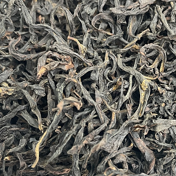 Син Жень Сян Дань Цун "A"